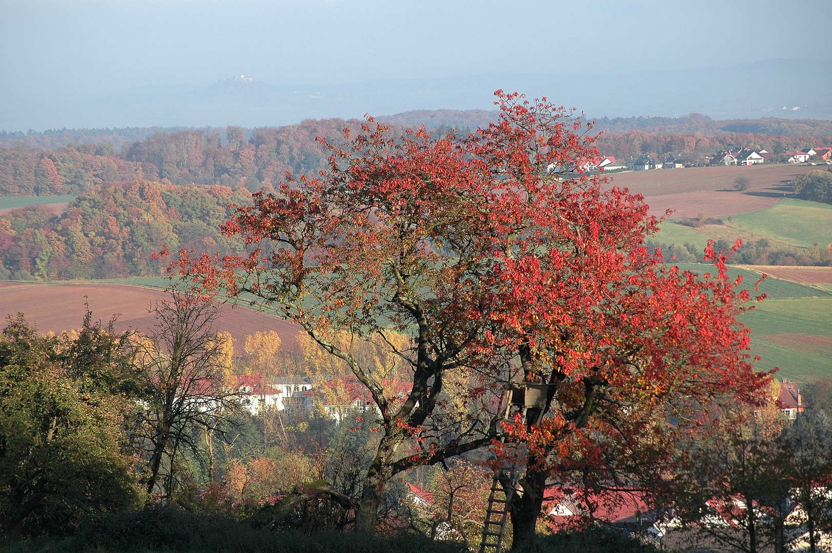 Herbst im Odenwald 4