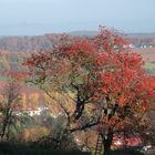 Herbst im Odenwald 4