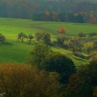 Herbst im Odenwald