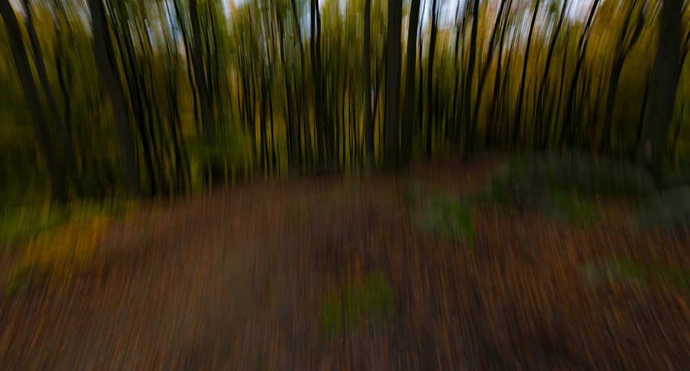 Herbst im Odenwald