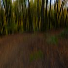 Herbst im Odenwald