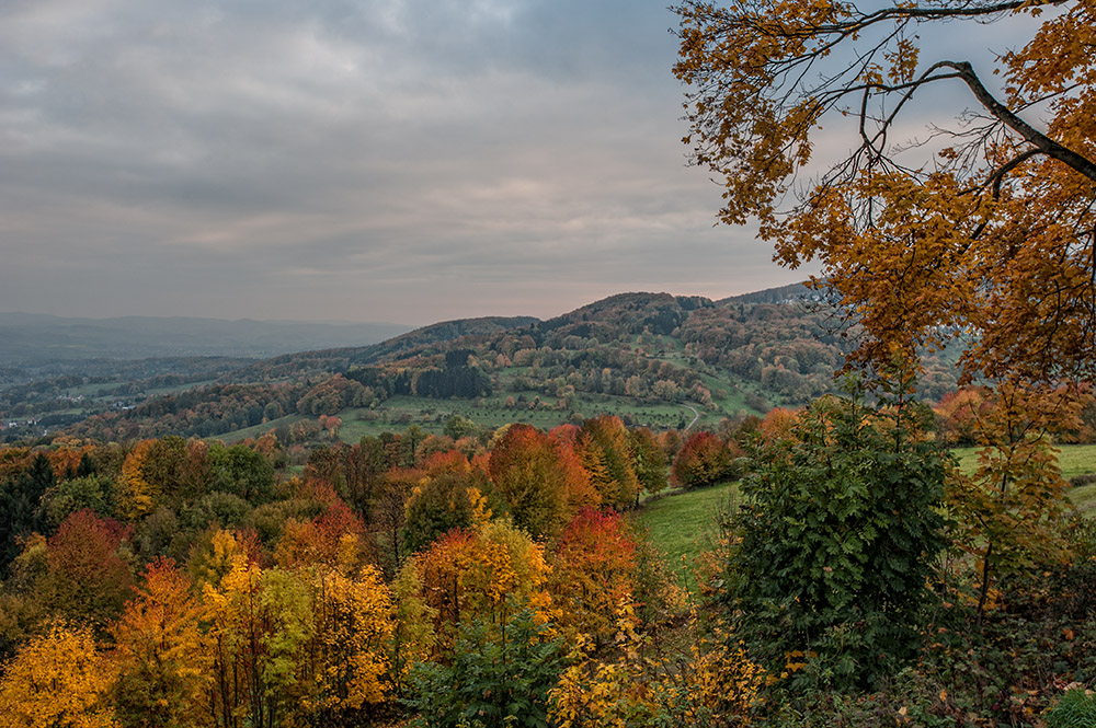 Herbst im Odenwald