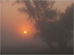 Herbst im Oderbruch ...