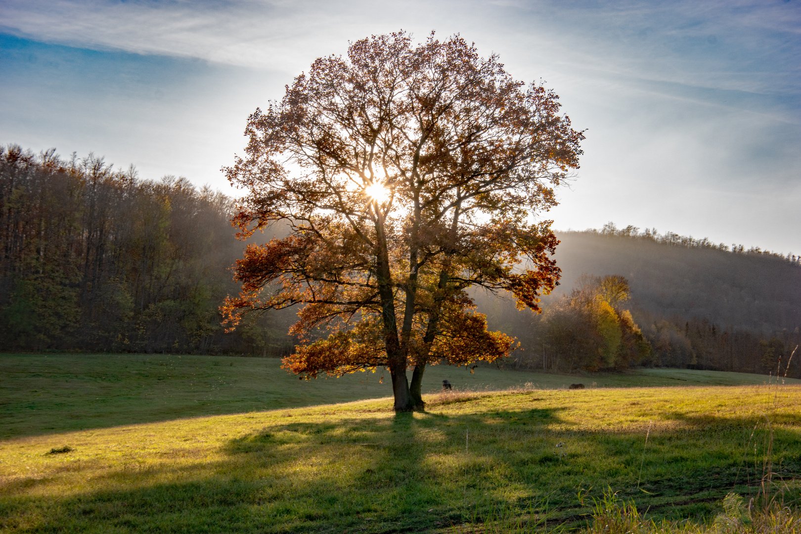 Herbst im Ohmgebirge