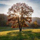 Herbst im Ohmgebirge