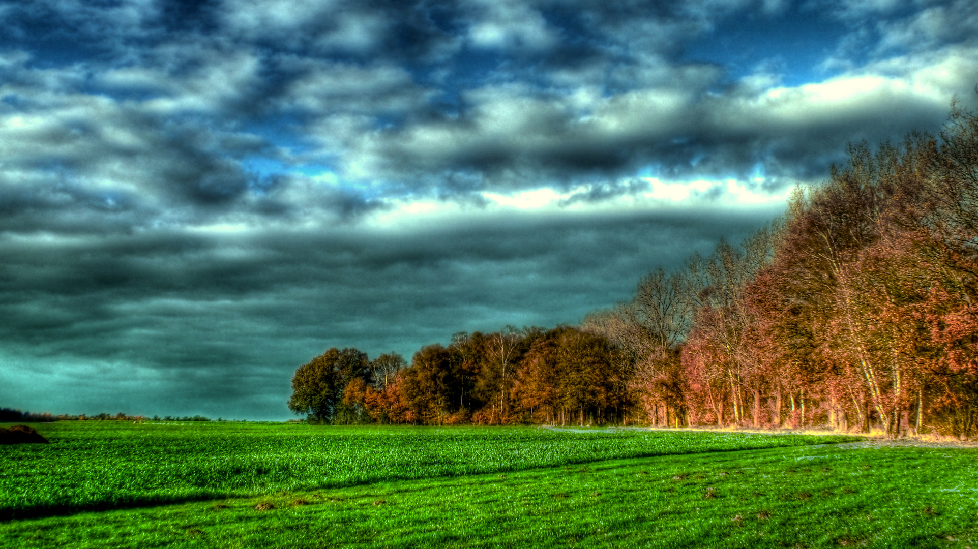 HERBST IM OLDENBURGER LANDE