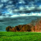 HERBST IM OLDENBURGER LANDE