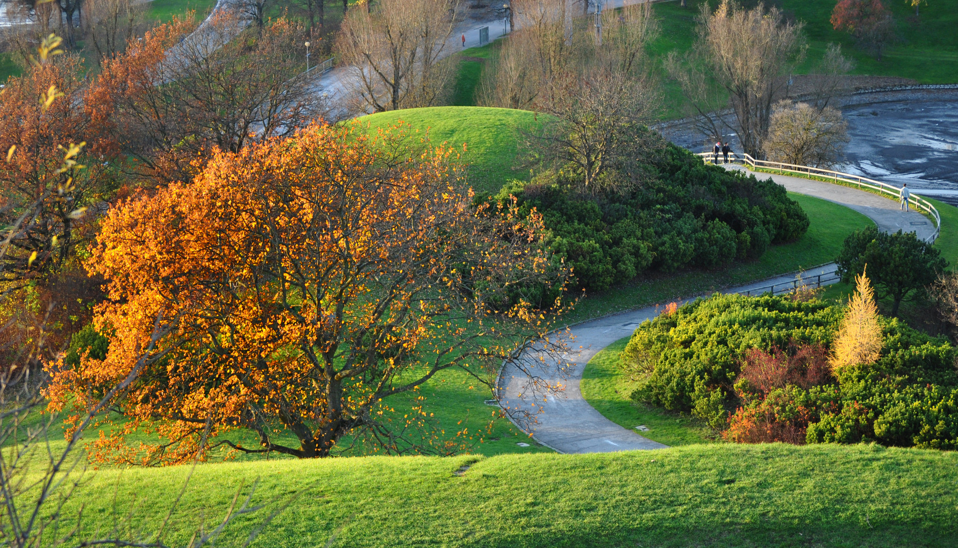 Herbst im Olympiapark