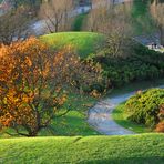 Herbst im Olympiapark