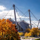 Herbst im Olympiapark