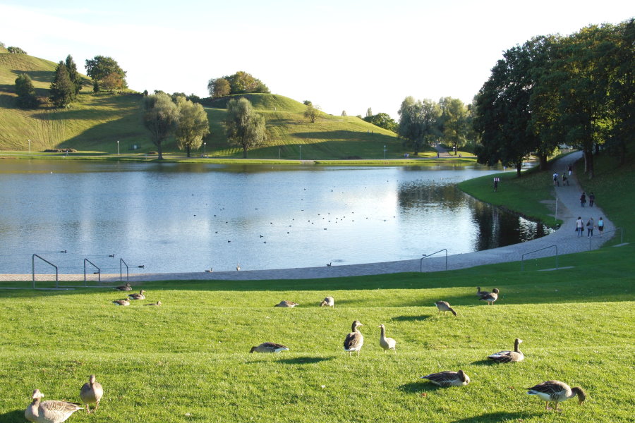 Herbst im Olympiapark