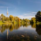 Herbst im Olympiapark, München