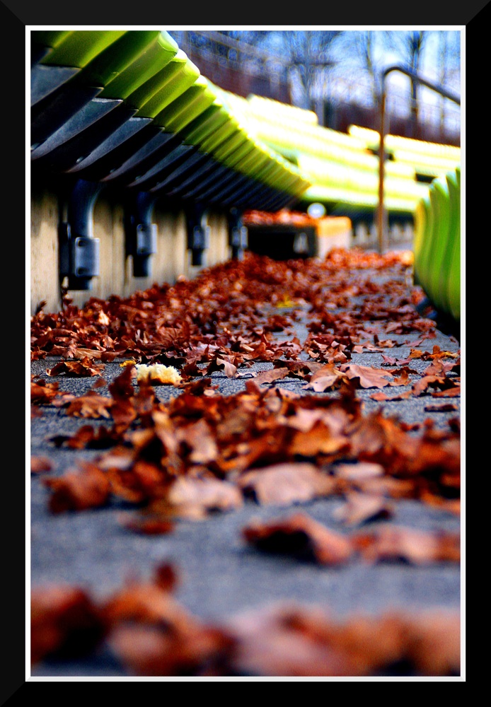 Herbst im Olympiastadion (1)