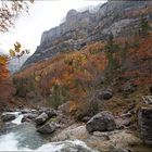 Herbst im Ordesa Tal