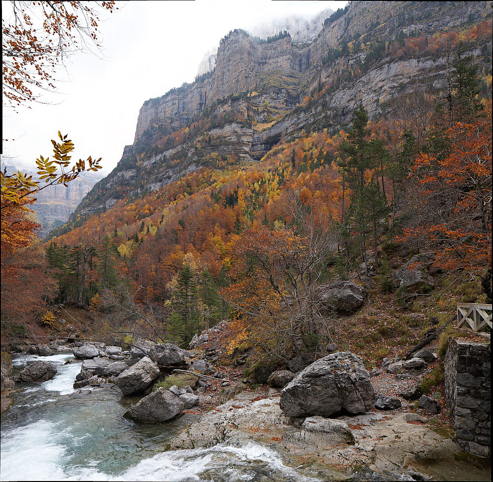 Herbst im Ordesa Tal