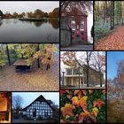 Herbst im Osnabrücker Land