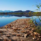 Herbst im Ostallgäu