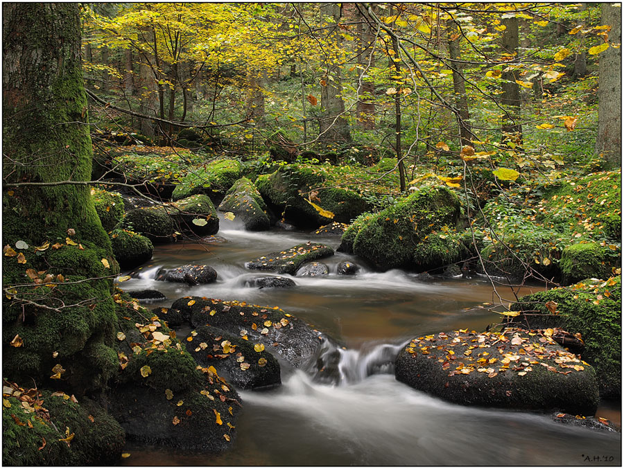 Herbst im Otterbachtal (2)