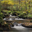 Herbst im Otterbachtal (2)