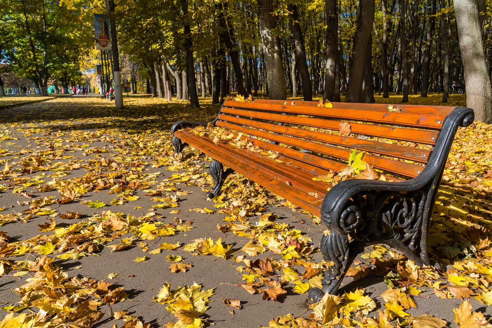 Herbst im P. Belousov Central Park in Tula (Russland) 1