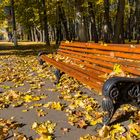 Herbst im P. Belousov Central Park in Tula (Russland) 1