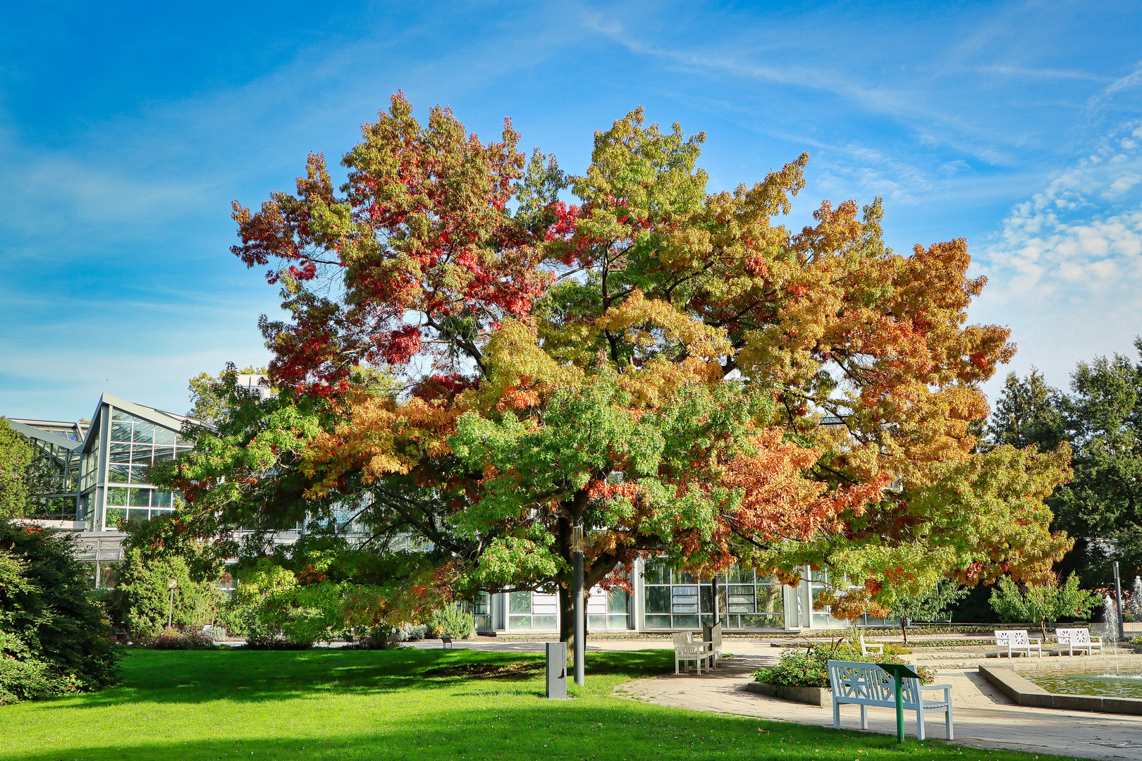 Herbst im Palmengarten