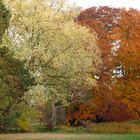 herbst im Palmengarten