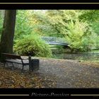 Herbst im Park