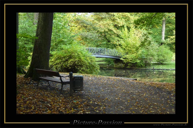 Herbst im Park