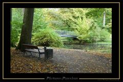 Herbst im Park