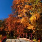 Herbst im Park