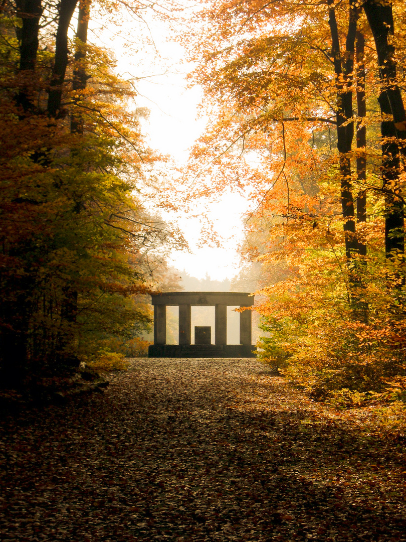 Herbst im Park