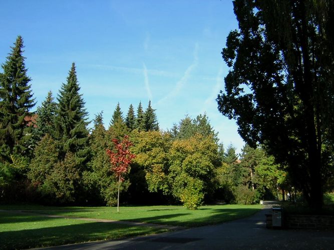 Herbst im Park