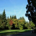 Herbst im Park