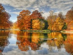 Herbst im Park