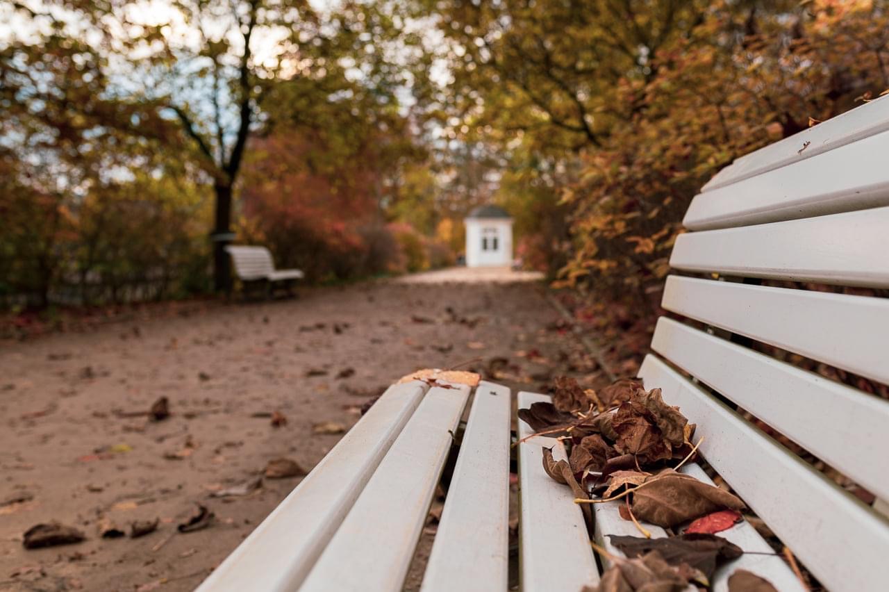 Herbst im Park