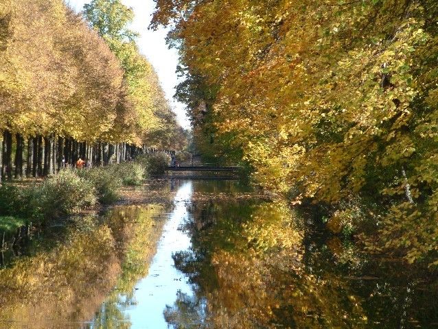 Herbst im Park