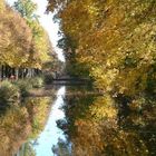 Herbst im Park