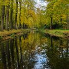 Herbst im Park