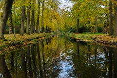 Herbst im Park