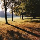 Herbst im Park