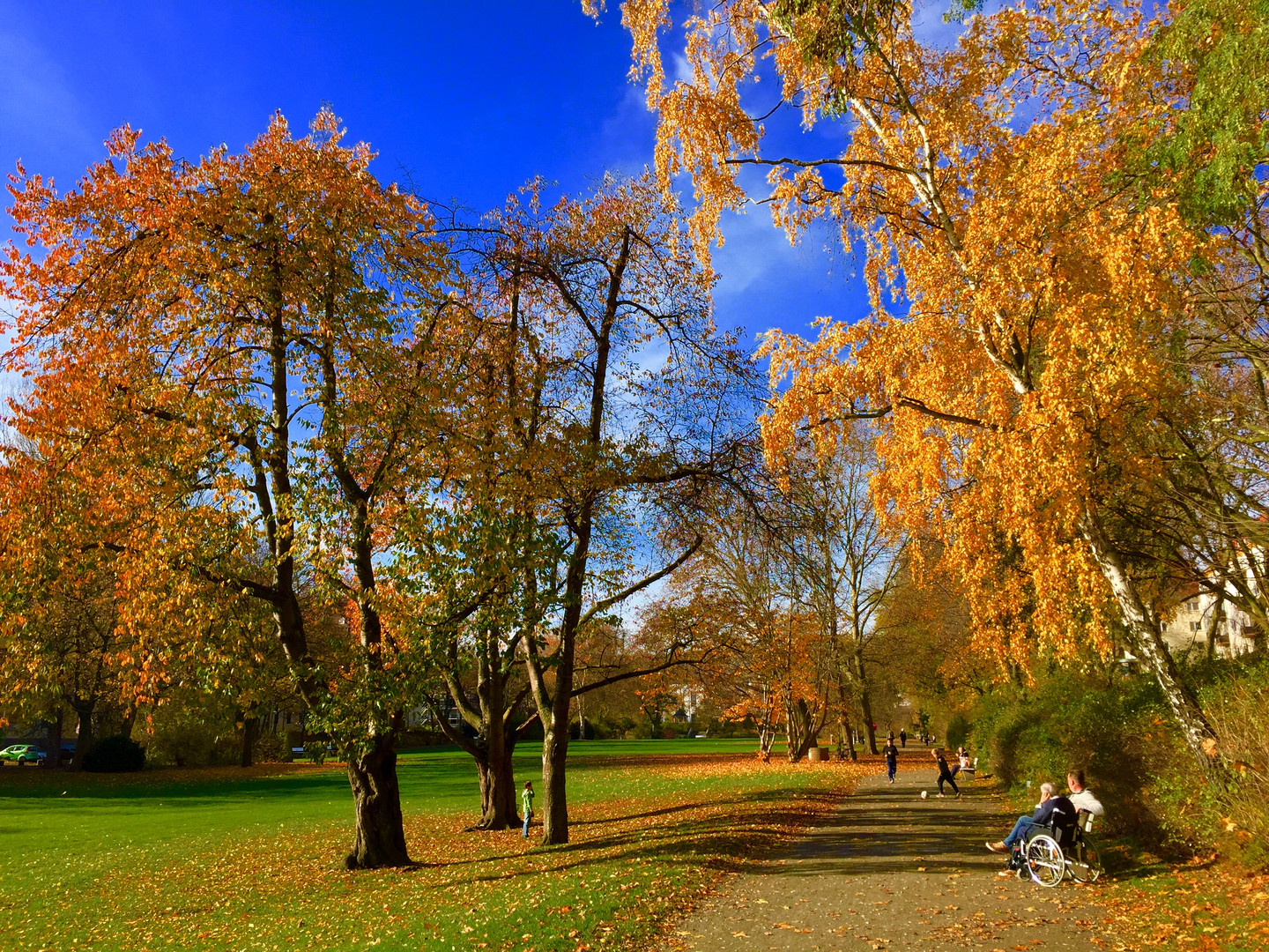 Herbst im Park