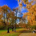 Herbst im Park