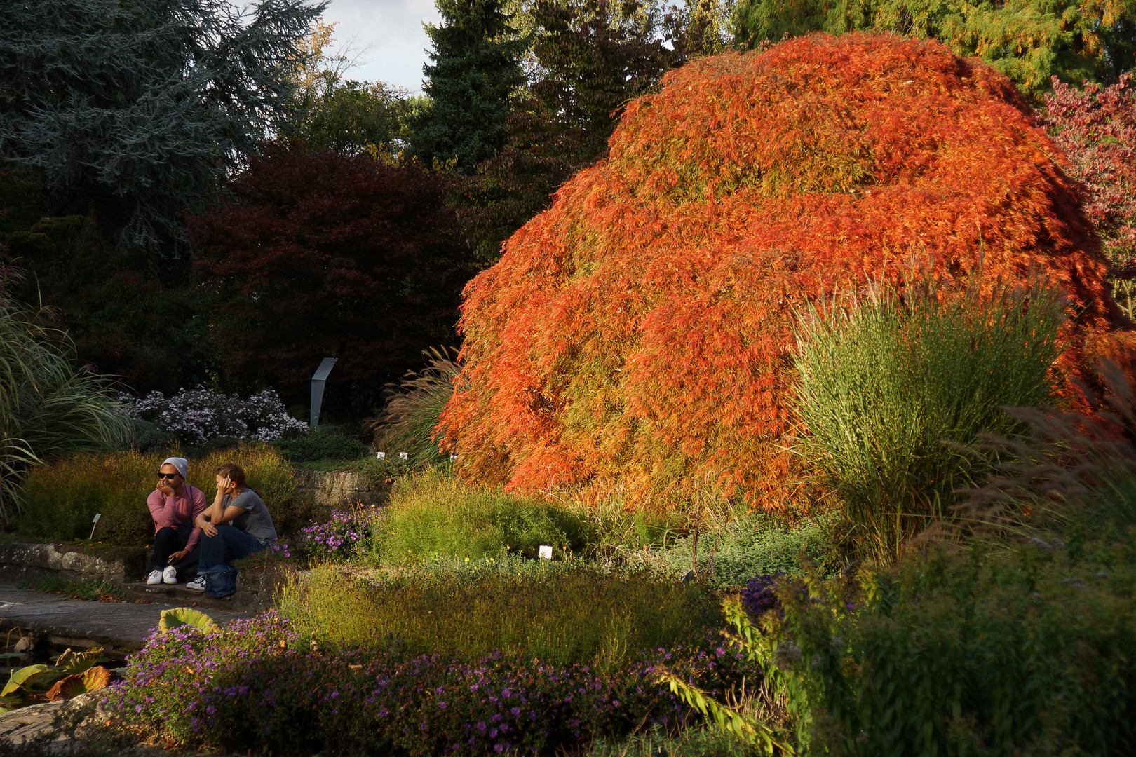 Herbst im Park