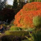 Herbst im Park