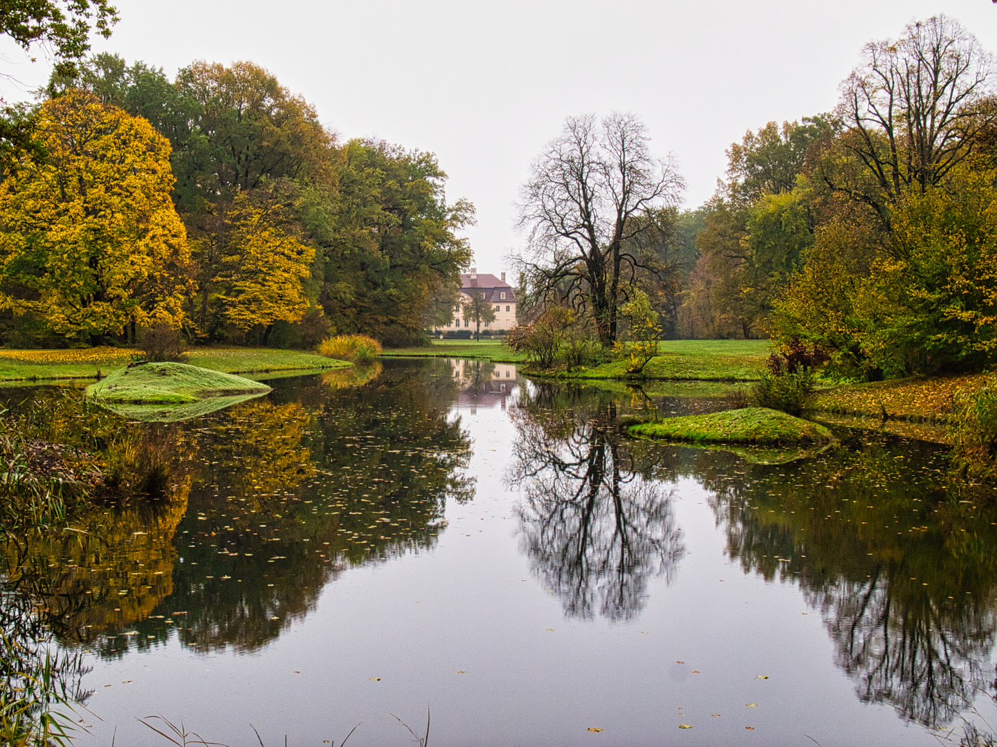 Herbst im Park