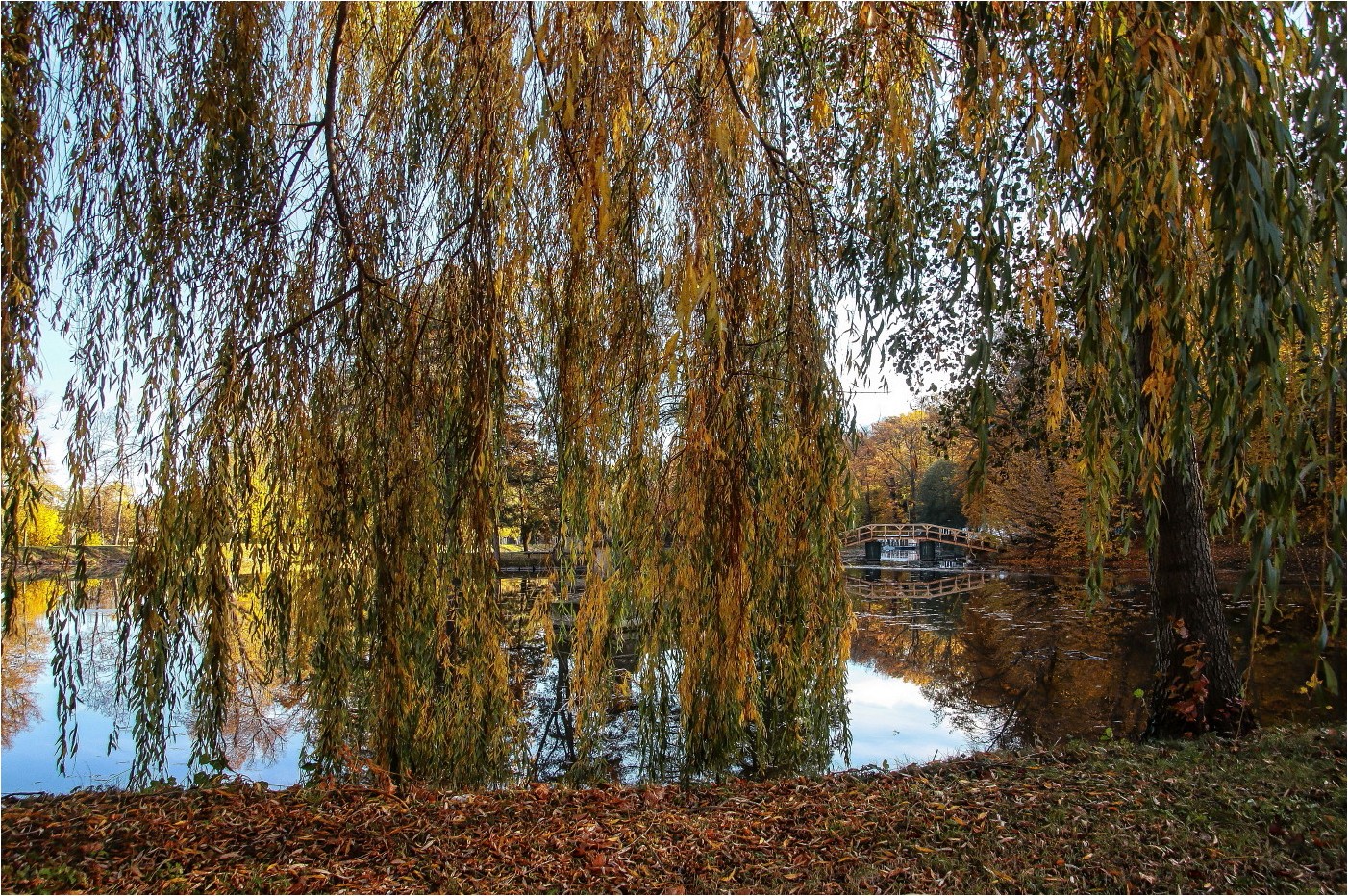 Herbst im Park (1)