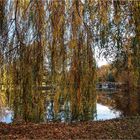 Herbst im Park (1)