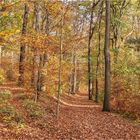 Herbst im Park 1