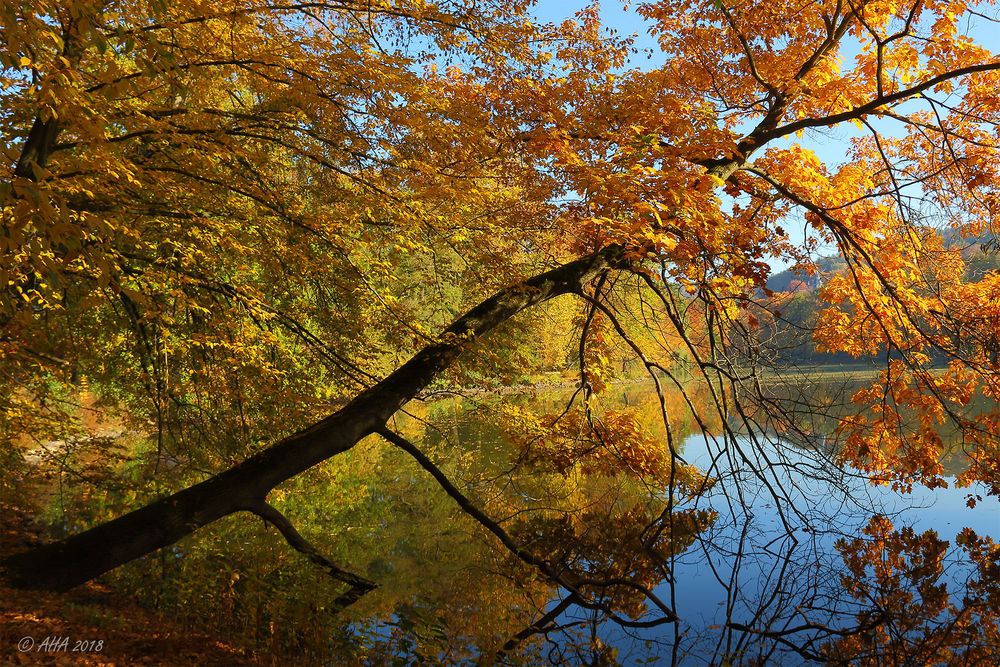 Herbst im Park - 1